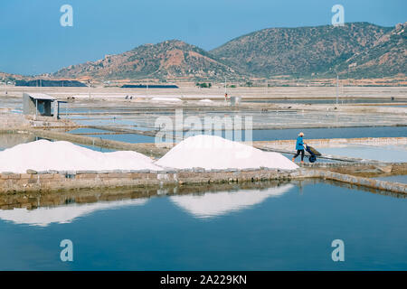 Workers gathering sea salt from harvesting sea salt in Ninh Thuan, Vietnam. Farmers harvest salt. Royalty high quality stock image of landscape. Stock Photo