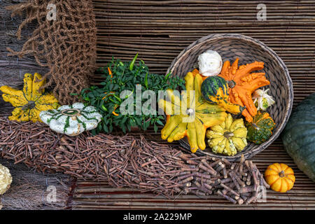 Autumn still life with assorted pumpkins, skwoshes, patty pan on rustic wooden background. Thanksgiving and Halloween concept, autumn card Stock Photo