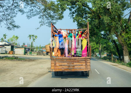 Women in colourful local dress and saris stand in the back of a truck on a road near Kaziranga, Golaghat District, Bochagaon, Assam, India Stock Photo