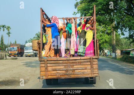 Women in colourful local dress and saris stand in the back of a truck on a road near Kaziranga, Golaghat District, Bochagaon, Assam, India Stock Photo