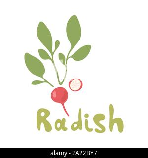 Radish flat design icon isolated on white background. Set of ripe radishes. Vector illustration on white background. Stock Vector