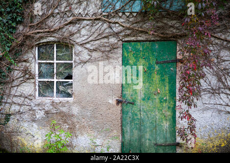 Old overgrown hut, Germany, Europe Stock Photo