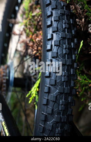 Close up of the wheel on a mountain bike Stock Photo