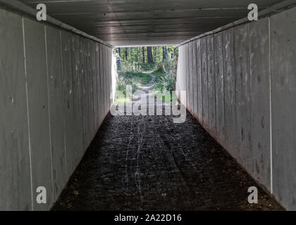 Light and nature at the end of the tunnel Stock Photo