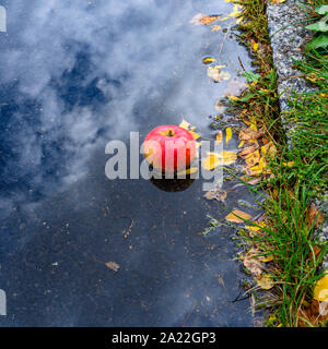 Bright red apple lying on the roadside in a puddle. The puddle reflects the blue sky with white clouds. Stock Photo