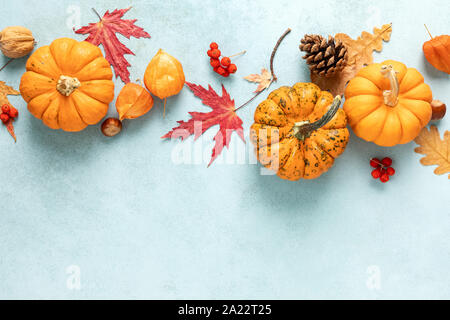 Festive autumn pumpkins decor with fall leaves, berries, nuts on blue background. Thanksgiving day or halloween holiday, harvest concept. Top view fla Stock Photo