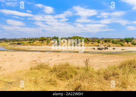 Family of elephants and lions at waterhole in Tarangire national park, Tanzania - Safari in Africa Stock Photo