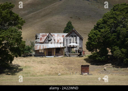 An abandoned farm homestead rests among large trees on a hillside in New Zealand Stock Photo