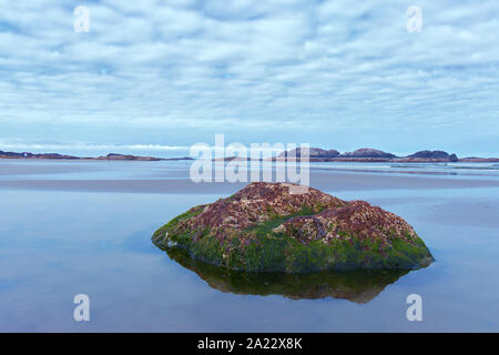 Beautiful Rock covered in seaweed  found on the Long Beach near Tofino at early morning Stock Photo