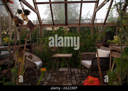Interior of greenhouse in a domestic English garden on a late summer day. Stock Photo