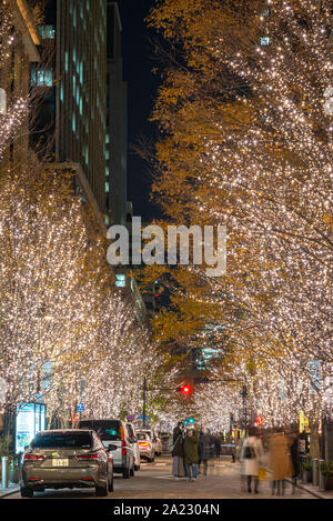 Tokyo Marunouchi winter illumination festival, beautiful view, popular tourist attractions, travel destinations for holiday, famous romantic light up Stock Photo