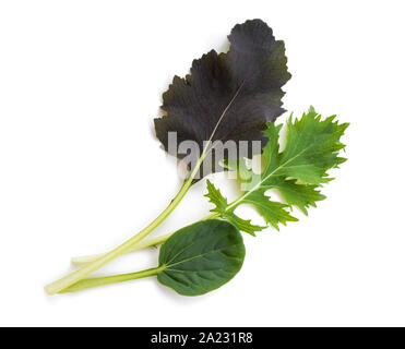 Oriental salad mix isolated on white background Stock Photo