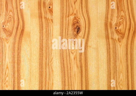 A beautiful pattern cut of a tree in the form of a new smooth wooden veneer with vertical guides. Stock Photo