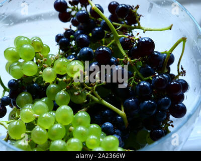 Black and white grapes from the garden, organically grown, in a glass bowl. Stock Photo
