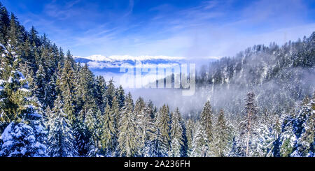 Bansko, Bulgaria winter mountains banner vacation background with snow covered pine trees aerial view Stock Photo