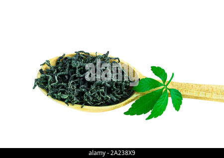 Jiaogulan Miracle Grass Leaf Chinese Herb Tea in Wooden Spoon On White Stock Photo