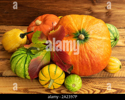 Autumn thanksgiving composition with assorted pumpkins on wooden table Stock Photo