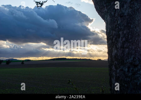 sunrays breaking through dark clouds in the distance with dark tree in foreground Stock Photo