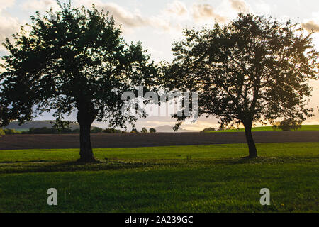 silhouettes of two trees on green meadow against cloudy sunset sky and misty hillside Stock Photo