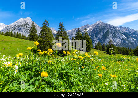 Alpine meadows Karwendel Nature Park, Austria, Tyrol. Stock Photo