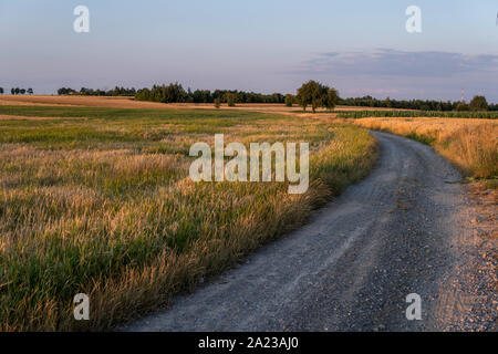 landscape with dirt road through fields in rural area during sunset Stock Photo