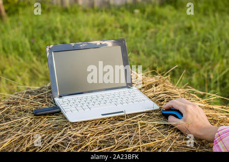 laptop with modem lies on a haystack in a meadow next to a woman hold her hand on the computer mouse Stock Photo