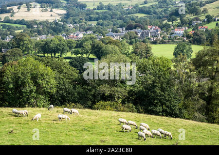 General view of the Derbyshire countryside with sheep in a field and the village of Hathersage in the distance. Derbyshire, Peak District, England, UK Stock Photo