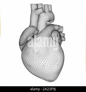 Polygonal human heart in low poly polygon style. Wireframe concept. 3d illustration. Stock Photo