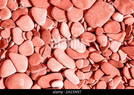 Trendy coral colour background from sea pebbles Stock Photo