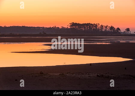 Predawn skies over Stoney Bayou Pool, St. Marks National Wildlife Refuge, Florida, USA Stock Photo