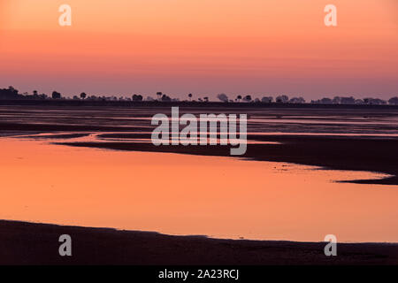 Predawn skies over Stoney Bayou Pool, St. Marks National Wildlife Refuge, Florida, USA Stock Photo