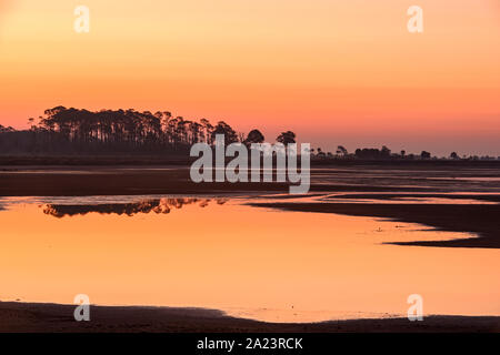 Predawn skies over Stoney Bayou Pool, St. Marks National Wildlife Refuge, Florida, USA Stock Photo