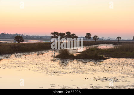 Dawn skies over salt water marshes, St. Marks National Wildlife Refuge, Florida, USA Stock Photo