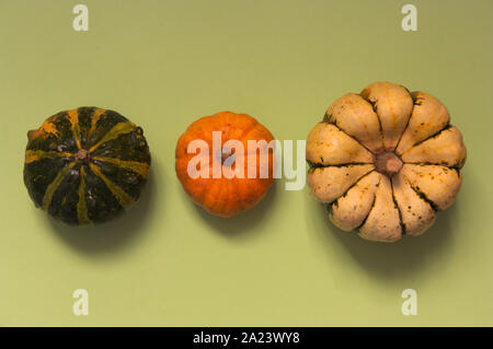 Three different pumpkins located next to each other on green background. Fancy pumpkins Stock Photo