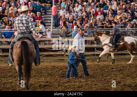 Country fair calf roping contest. Stock Photo