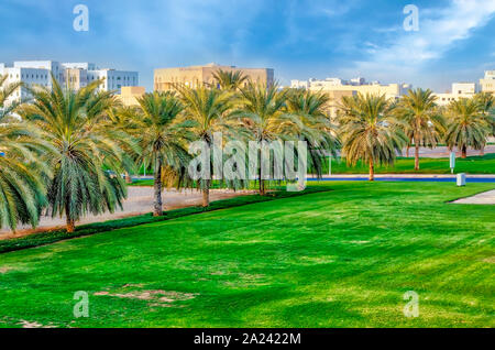 Beautiful lawn with palm trees with the cityscape in the background. From Muscat, Oman. Stock Photo