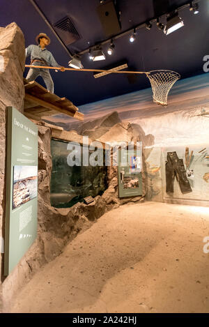 A display shows how Native Americans still fished for salmon from platforms at Celilo Falls on the Columbia River until a dam flooded the site in 1957. Stock Photo