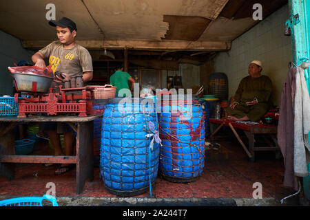 Fish and seafood sellers busy sorting their stock at the old, local, traditional market, Pasar Pabean. In the Arab Quarter section of Surabaya, Indone Stock Photo