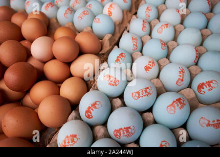 Blue and brown eggs for sale at the old, local, traditional market, Pasar Pabean. In the Arab Quarter section of Surabaya, Indonesia. Stock Photo