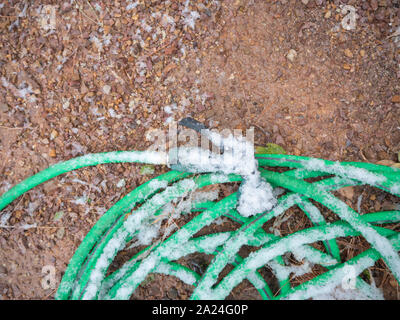 Green garden hose with nozzle sprinkled with snow and ice crystals Stock Photo