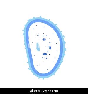 Bacterias cell. Vector illustartion in doodle style. Stock Vector