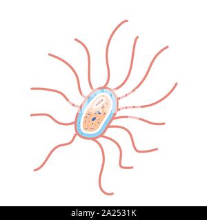 Bacterias cell. Vector illustartion in doodle style. Stock Vector