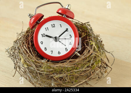 Red alarm clock in a bird nest -Importance of time concept Stock Photo