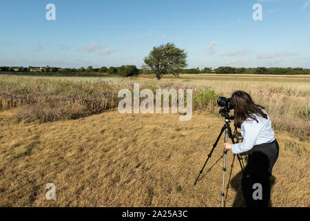 Photographer Carol M. Highsmith creates a visual record of a portion of the Prairie Chapel Ranch in McLennon County, near Crawford, Texas, owned by former president George W. Bush and former first lady Laura Bush. In this field, they are helping to bring back a tiny part of what was once a tallgrass prairie so vast that it stretched from mid-Texas northward into Canada Stock Photo