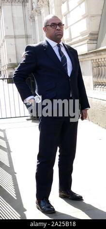 James Cleverly, MP (born 4 September 1969); British Conservative politician. Member of Parliament (MP) for Braintree and Deputy Chairman of the Conservative Party. He advocated a Brexit vote in the 2016 EU membership referendum. Seen arriving at Downing Street for talks with Prime Minister Theresa May; April 2019 Stock Photo