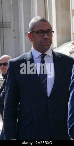 James Cleverly, MP (born 4 September 1969); British Conservative politician. Member of Parliament (MP) for Braintree and Deputy Chairman of the Conservative Party. He advocated a Brexit vote in the 2016 EU membership referendum. Seen arriving at Downing Street for talks with Prime Minister Theresa May; April 209 Stock Photo