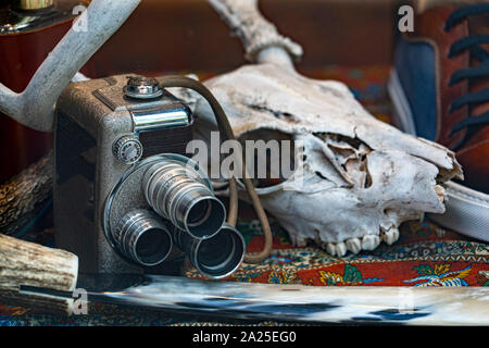 old camera with a skull inside antique shop detail Stock Photo