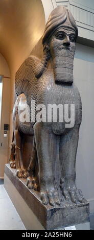 Winged Human headed Lion statue guarding the entrance to the North-West Palace of Nimrud. 865-860 BC, Assyrian, Iraq Stock Photo