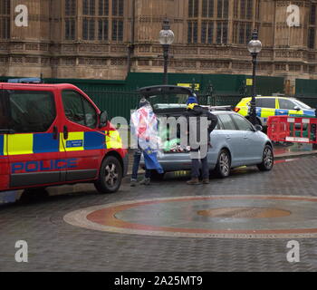 EU Flag adorns a protester near College Green opposite the UK Parliament. March 2019, protest demanding a fresh EU referendum Stock Photo