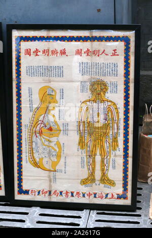 Acupuncture chart on sale in Beijing, China in 2019. Acupuncture is believed to have originated around 100 BC in China, around the time The Yellow Emperor's Classic of Internal Medicine (Huangdi Neijing) was published Stock Photo